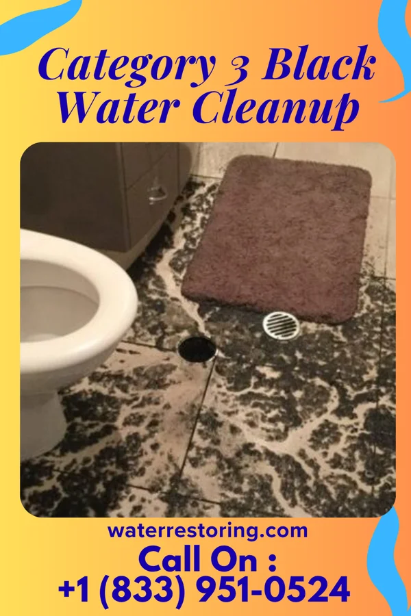 Category 3 Black Water Cleanup in Jenkinsburg, GA