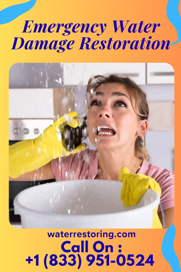 Emergency Water Damage Restoration in Jenkinsburg, GA